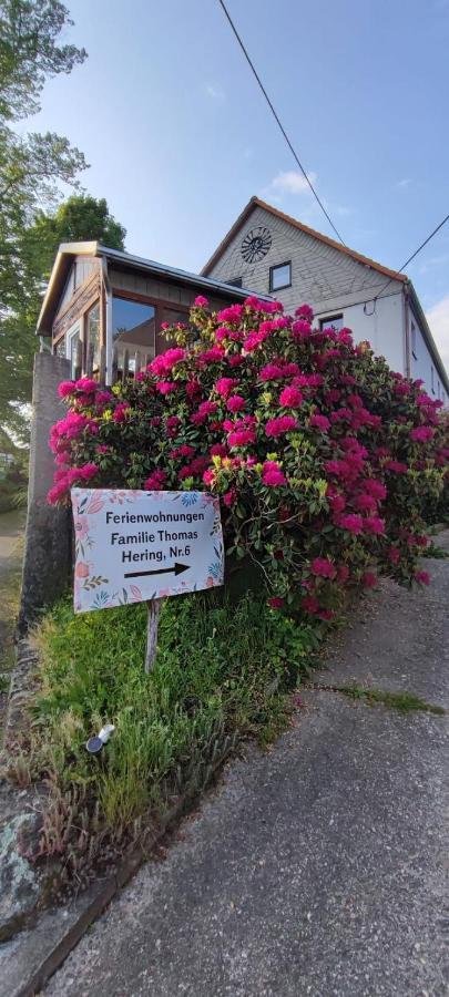 Ferienwohnungen Hering Kleingiesshubel Εξωτερικό φωτογραφία